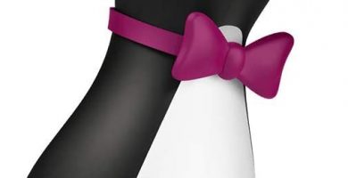 succionador pinguino